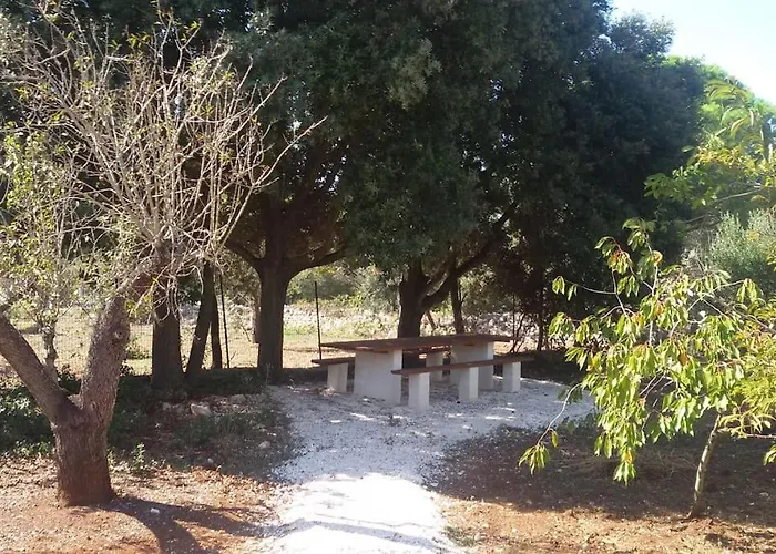 Otium * 오스투니